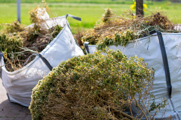 Best Attic Cleanout Services  in Countryside, IL